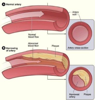 screenhunter_1896-oct-10-16-08