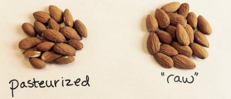 screenhunter_2398-dec-11-16-00